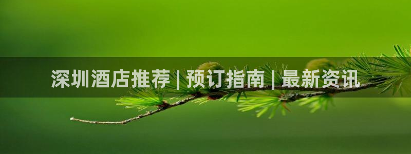 威廉希尔入口|深圳酒店推荐 | 预订指南 | 最新资讯