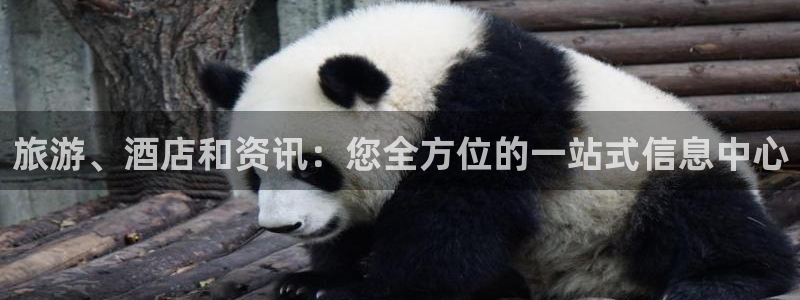williamhill官方网站主页|旅游、酒店和资讯：您全方